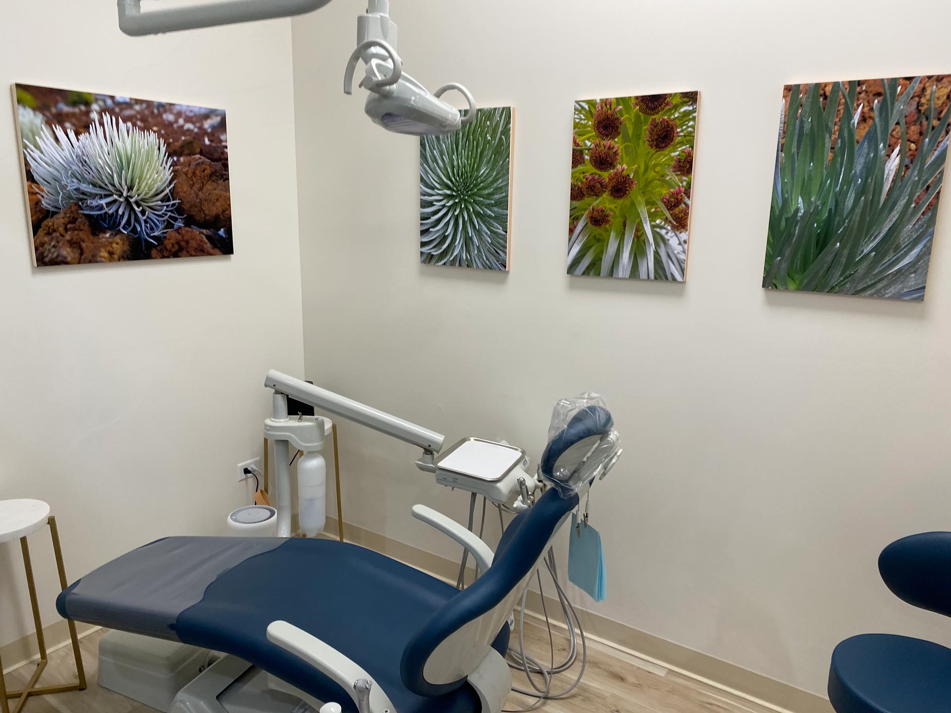 The image shows a dental office with a modern dental chair, a dental mirror, and various pieces of dental equipment. There are four framed photographs hanging on the wall above the dental chair, featuring plants and flowers in different states of growth. The room has a clean and professional appearance, with white walls and a blue and white color scheme.
