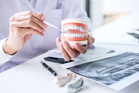 A dentist holding a tooth model, with a person s hand adjusting the model s teeth, set against a backdrop of dental equipment and supplies.